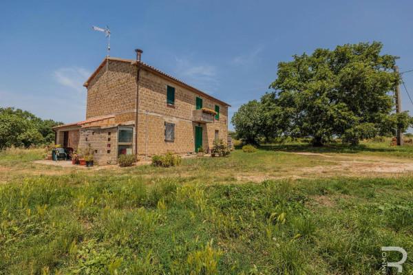 Landhaus in Strada Provinciale Sovana, Sorano - Foto 1