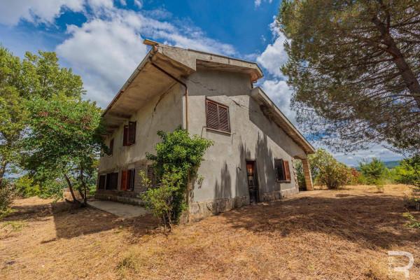 Mansion in Strada Saturnia Pitigliano, Manciano - Photo 1