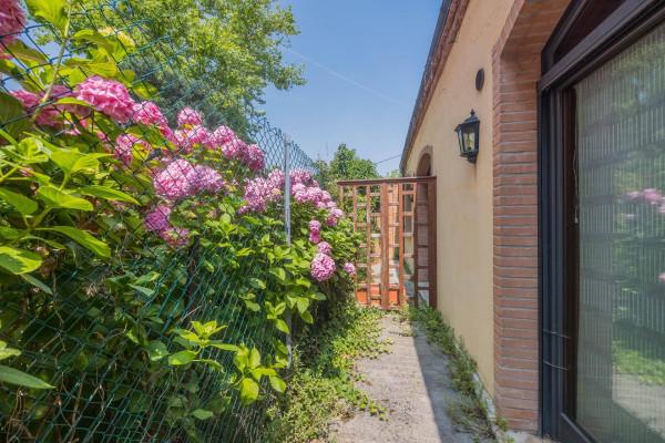 immagine annuncio 8 di 11