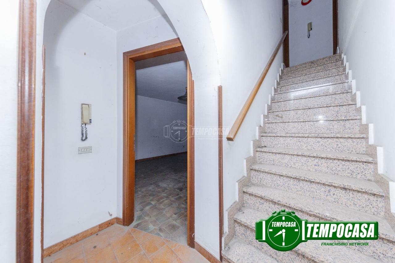 immagine annuncio 8 di 12