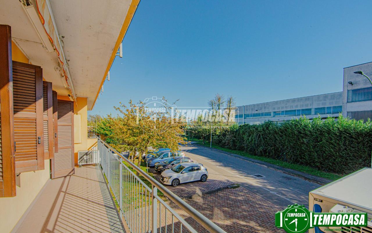 immagine annuncio 2 di 11