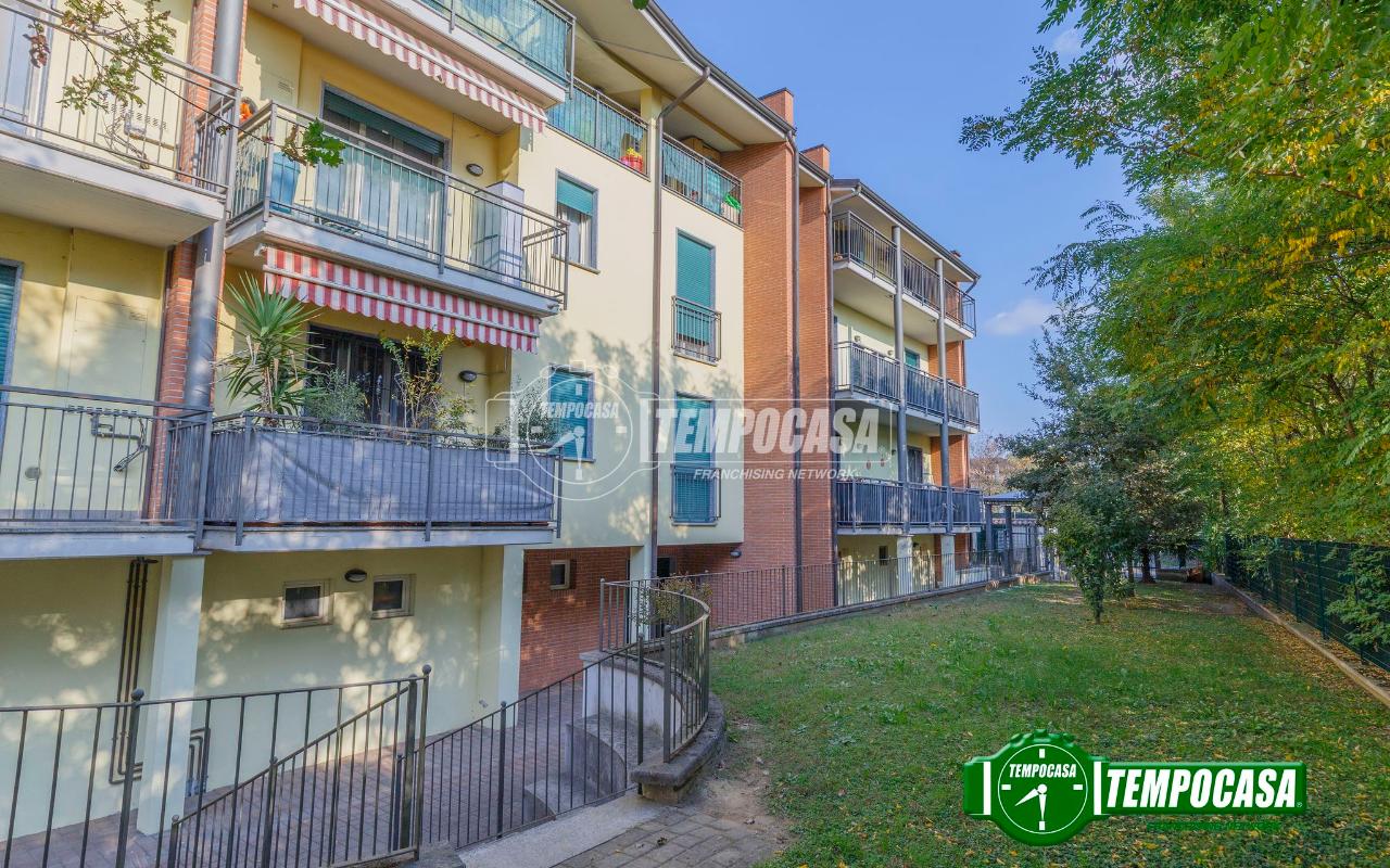 immagine annuncio 9 di 11