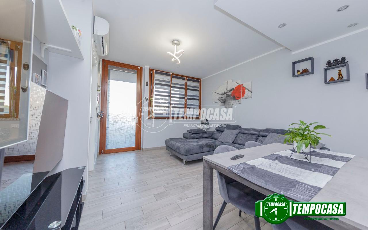 immagine annuncio 4 di 13