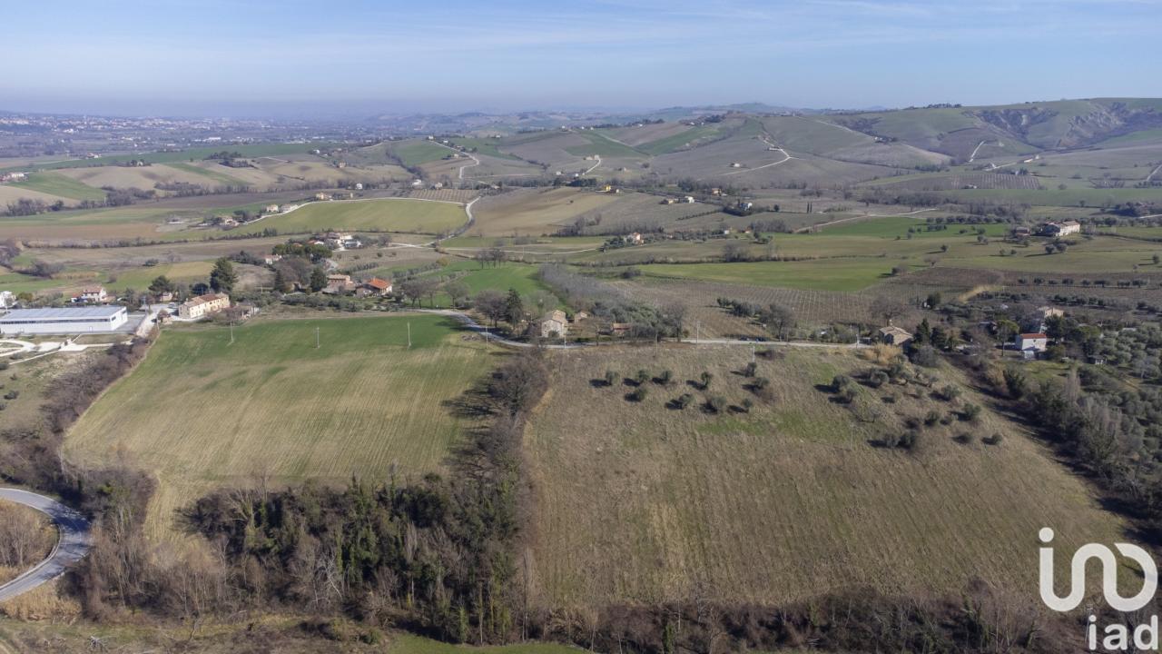 immagine annuncio 6 di 11