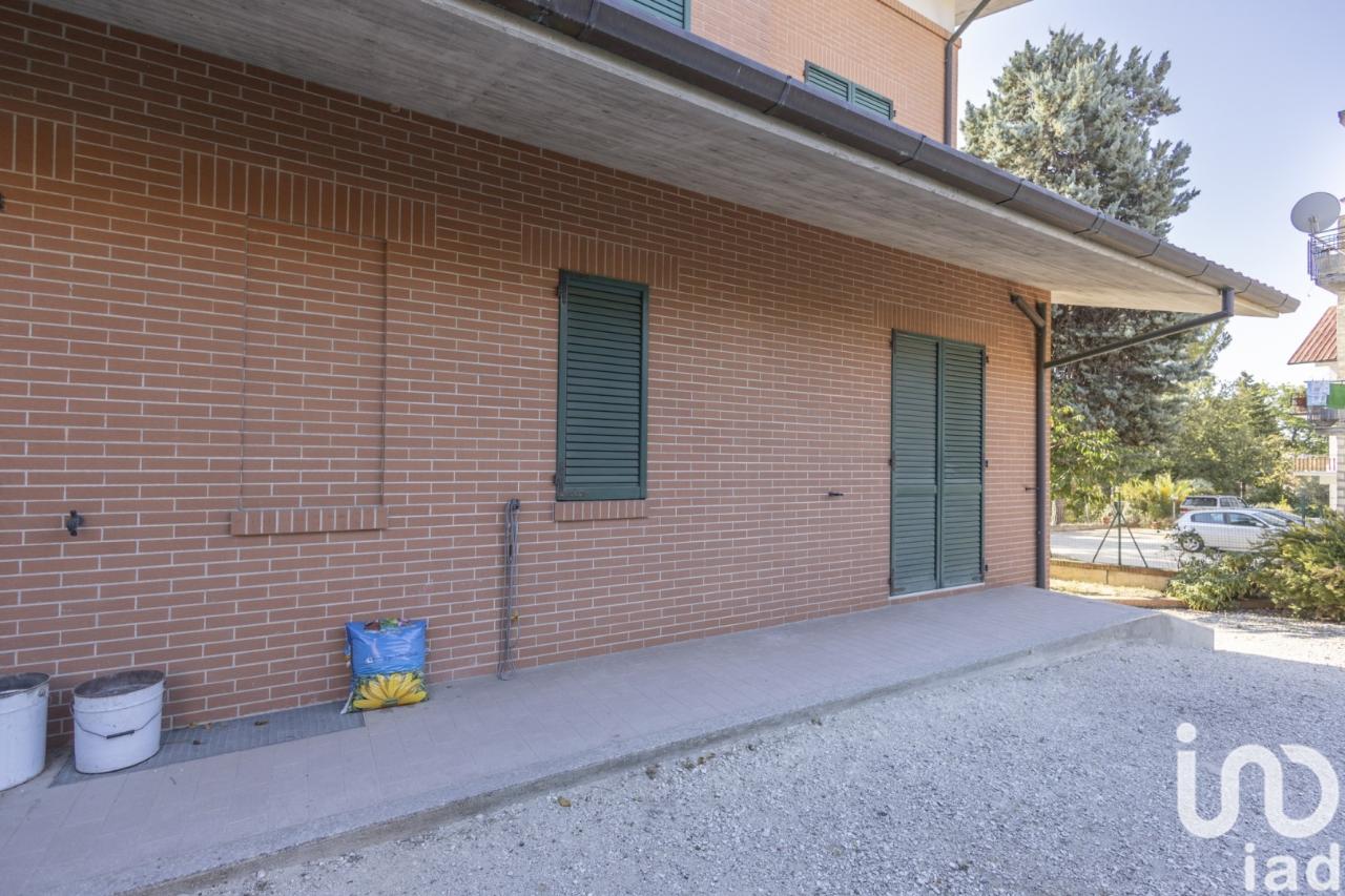 immagine annuncio 10 di 14