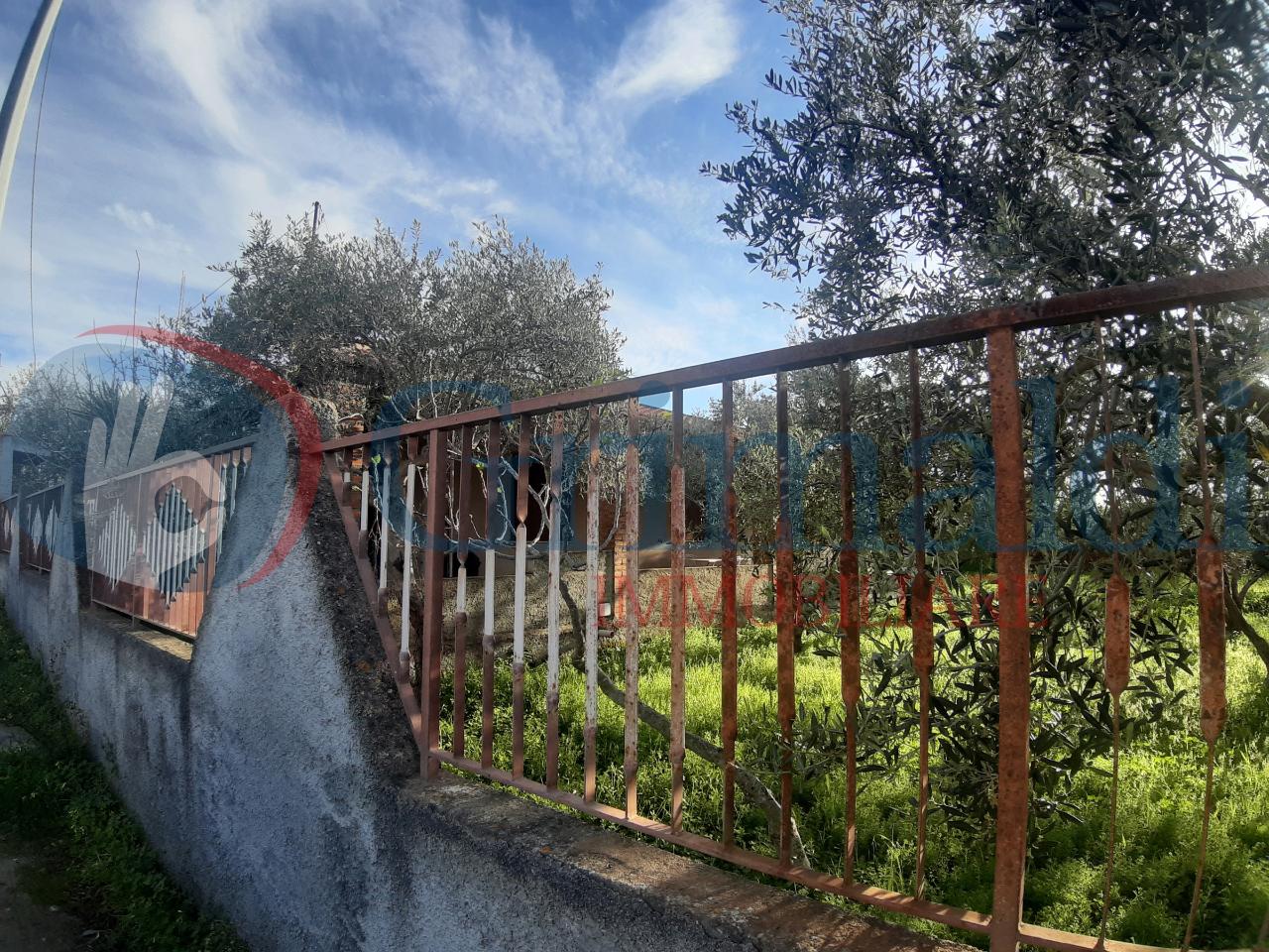immagine annuncio 2 di 9