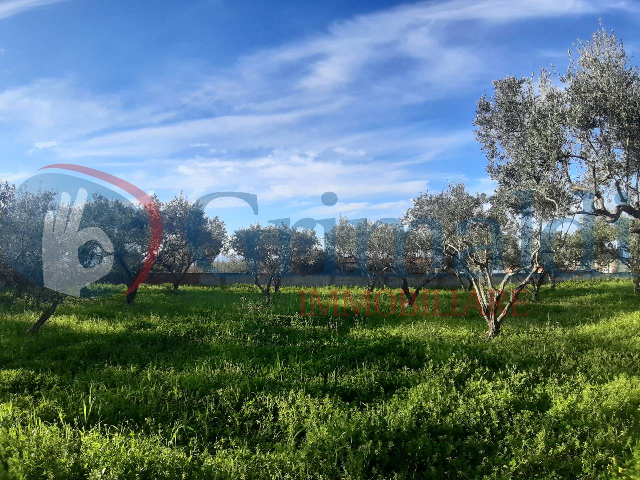 immagine annuncio 8 di 9