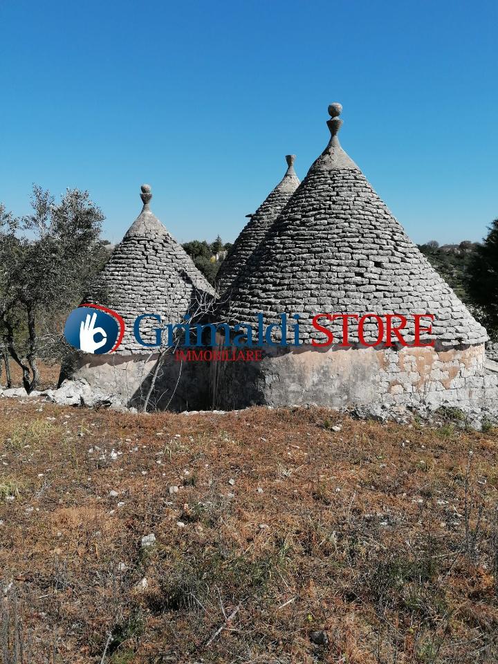 immagine annuncio 10 di 12