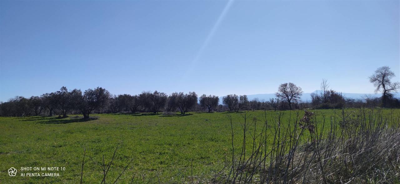 Terreno agricolo in vendita a Montefiascone