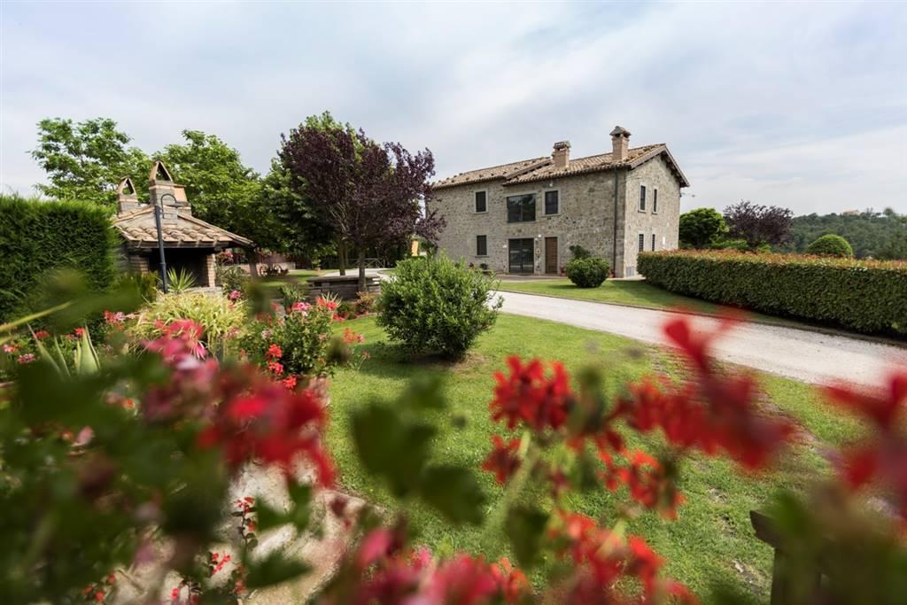 Agriturismo in , Montefiascone, {3} - Foto 2