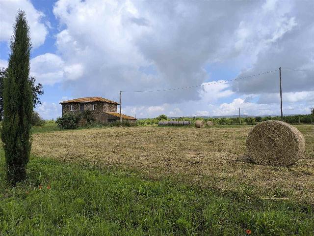 Country house or cottage, Montefiascone - Photo 1