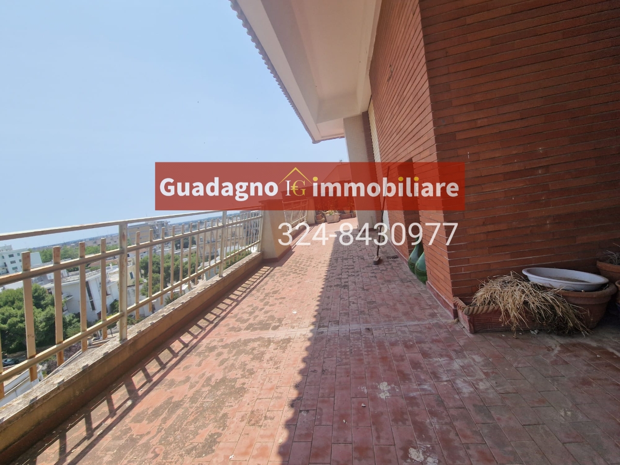 immagine annuncio 1 di 14