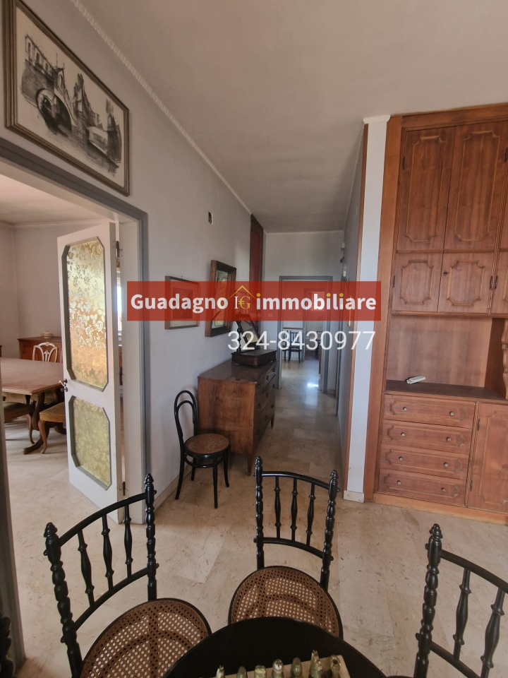 immagine annuncio 12 di 14