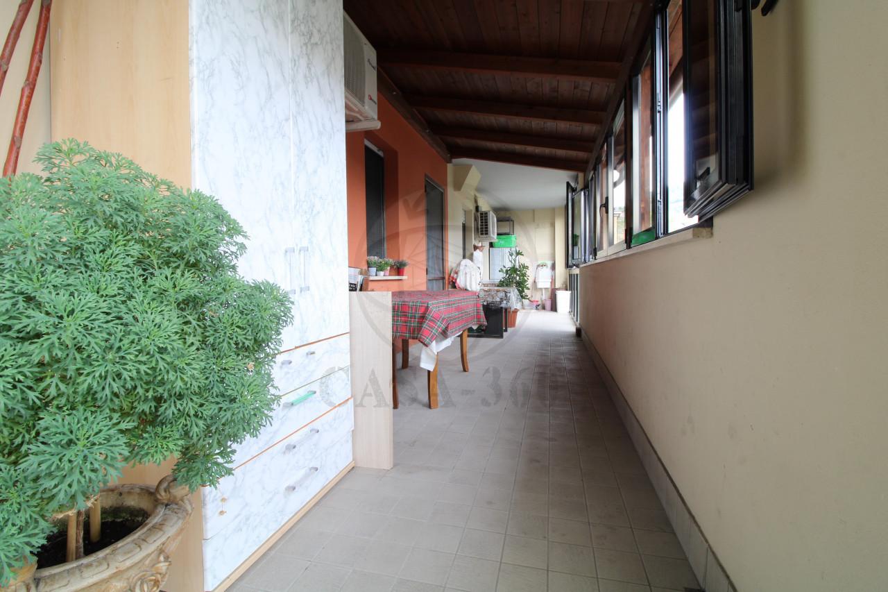 immagine annuncio 7 di 13