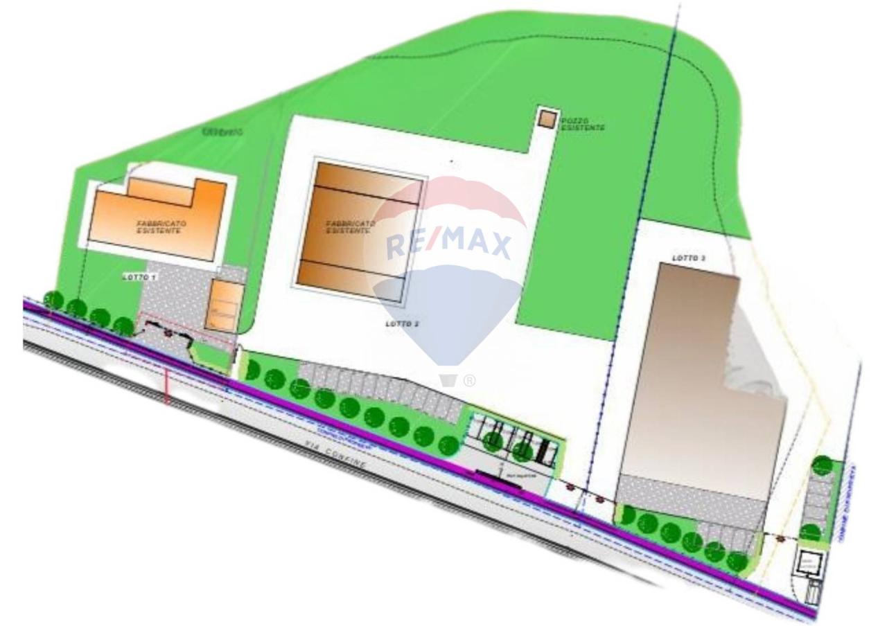 immagine annuncio 11 di 13