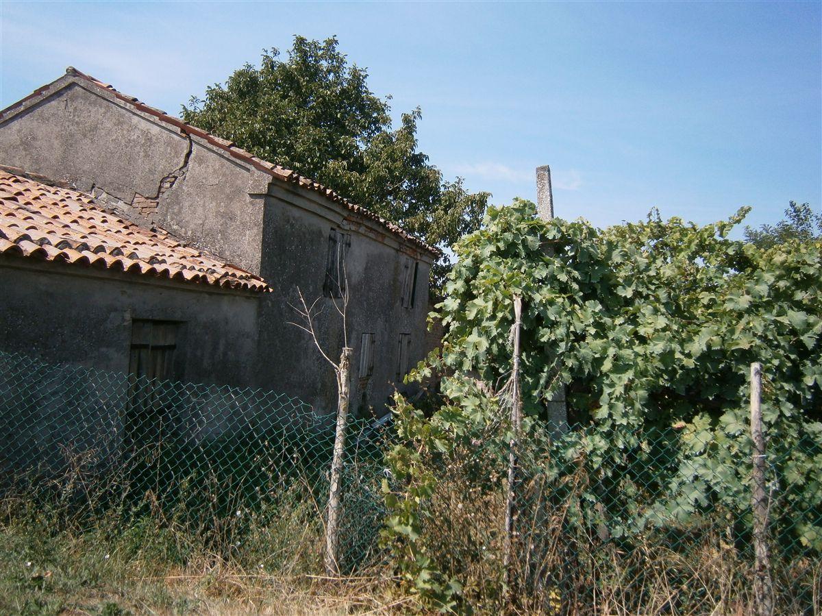 immagine annuncio 4 di 6