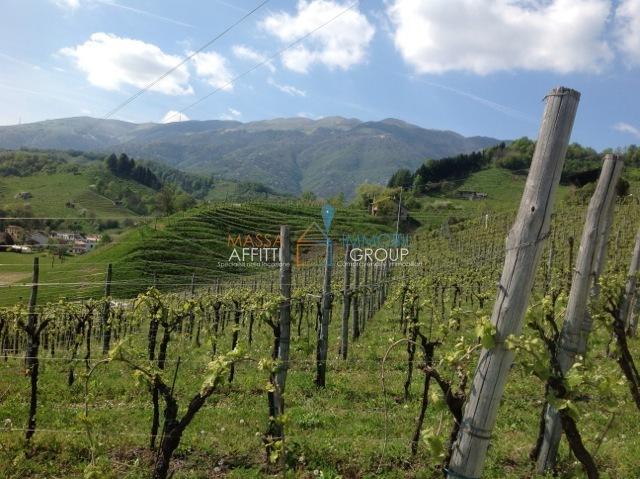 Terreno agricolo in {3}, Via dell'Uva 6-10 - Foto 1