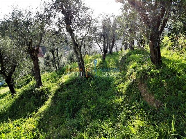 Terreno agricolo in {3}, Viale XX Settembre 10 - Foto 1