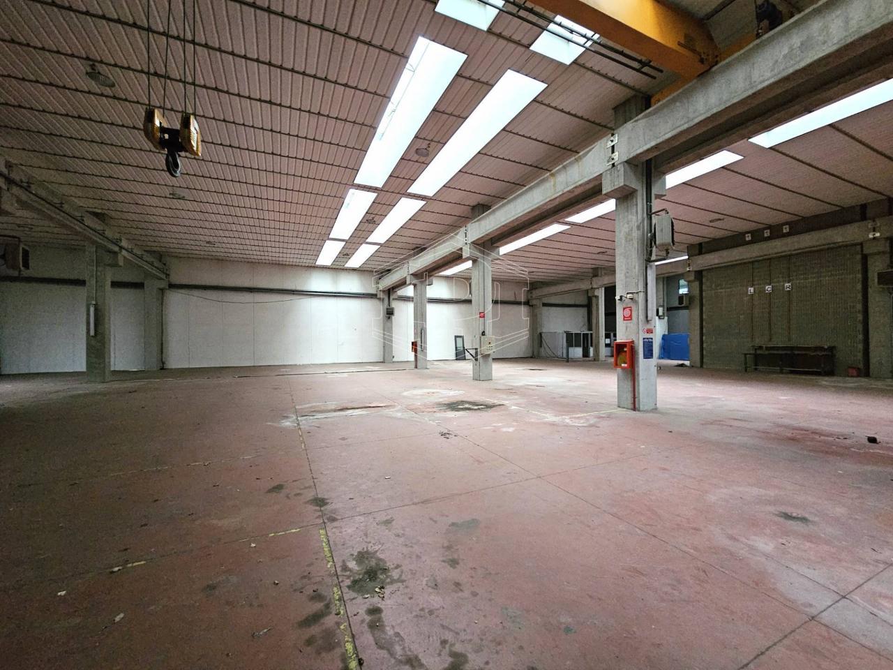 immagine annuncio 2 di 12