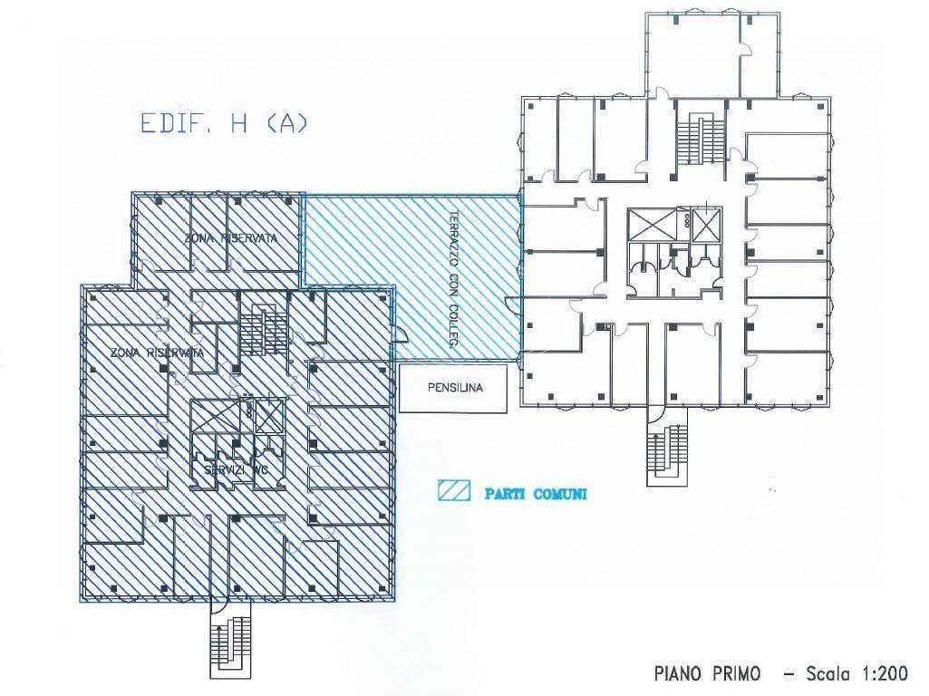 Ufficio in Via Giulio Vincenzo Bona 120, Roma, {3} - Planimetria 1
