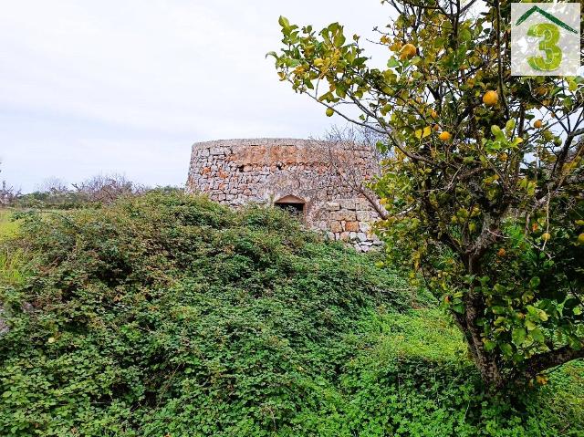 Agrargrundstück in {3}, Strada Vicinale Masseria Simone - Foto 1