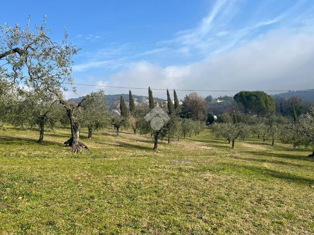 Agricultural land in Strada di Palazzone, Amelia - Photo 1