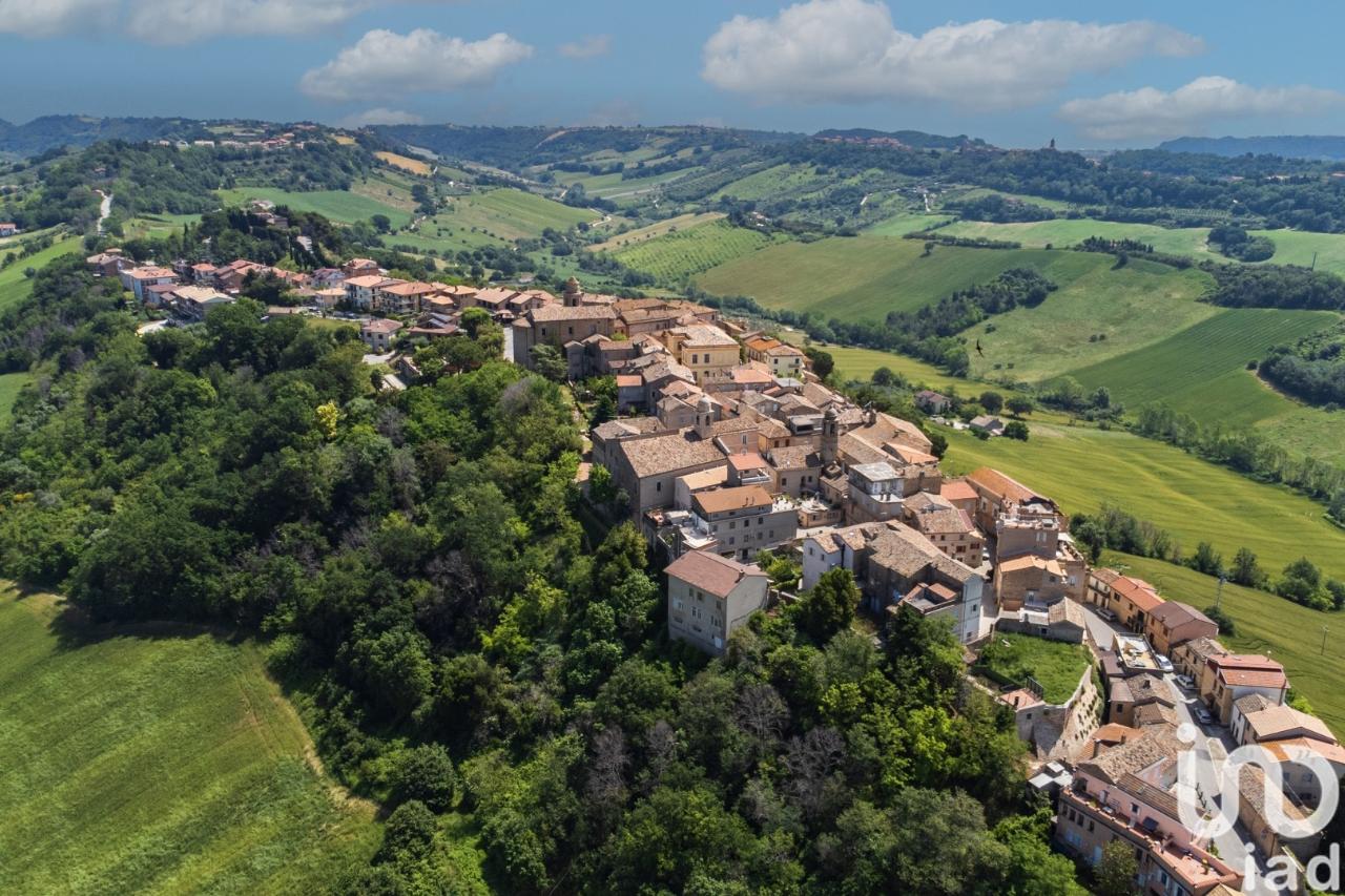 immagine annuncio 12 di 14