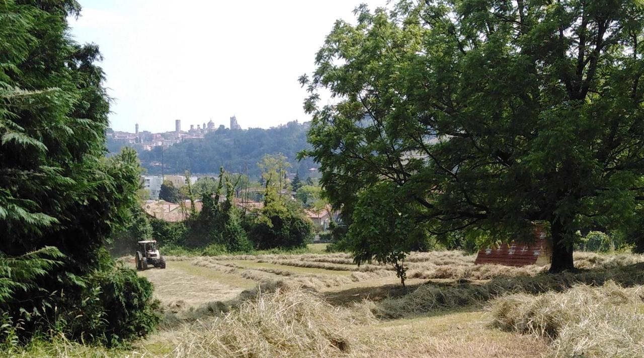 Terreno agricolo in affitto a Bergamo