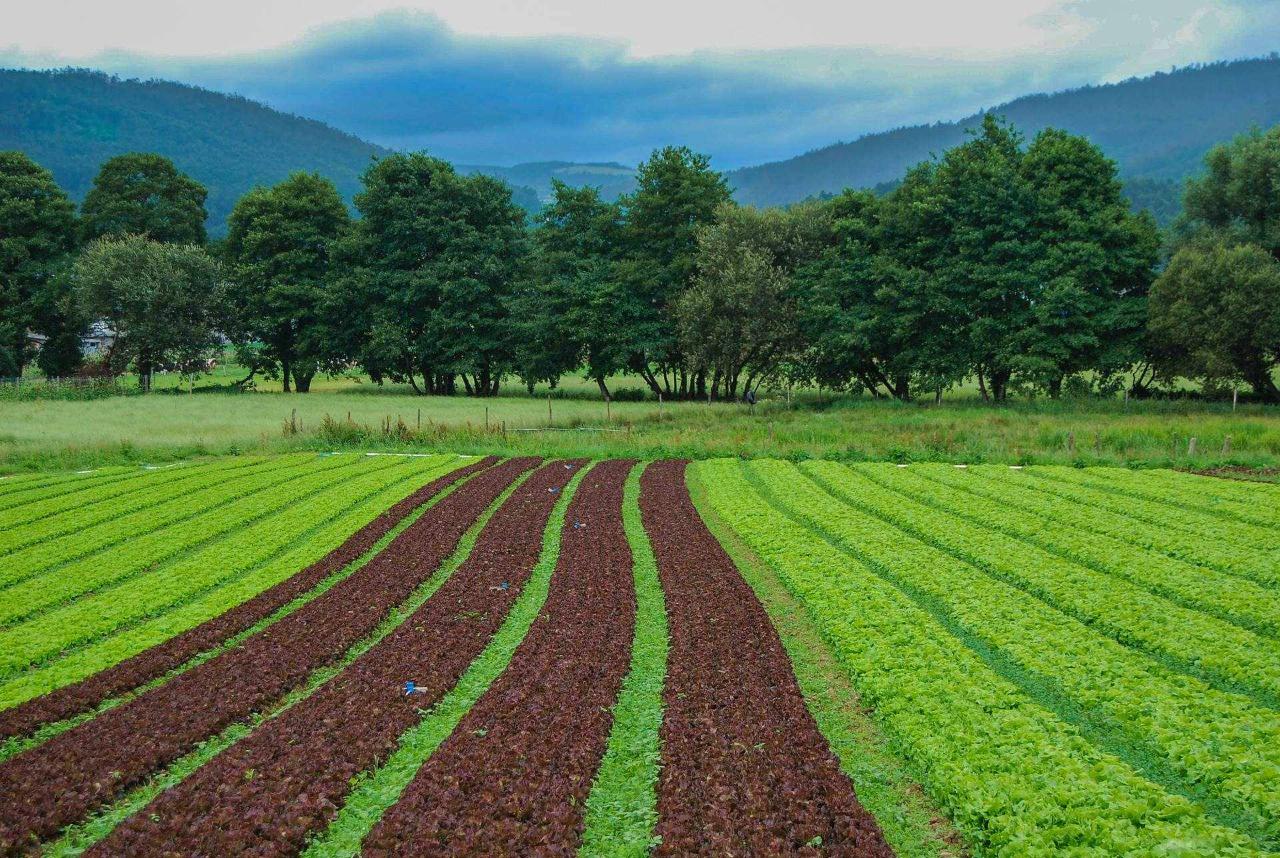Azienda agricola in , Bergamo, {3} - Foto 1
