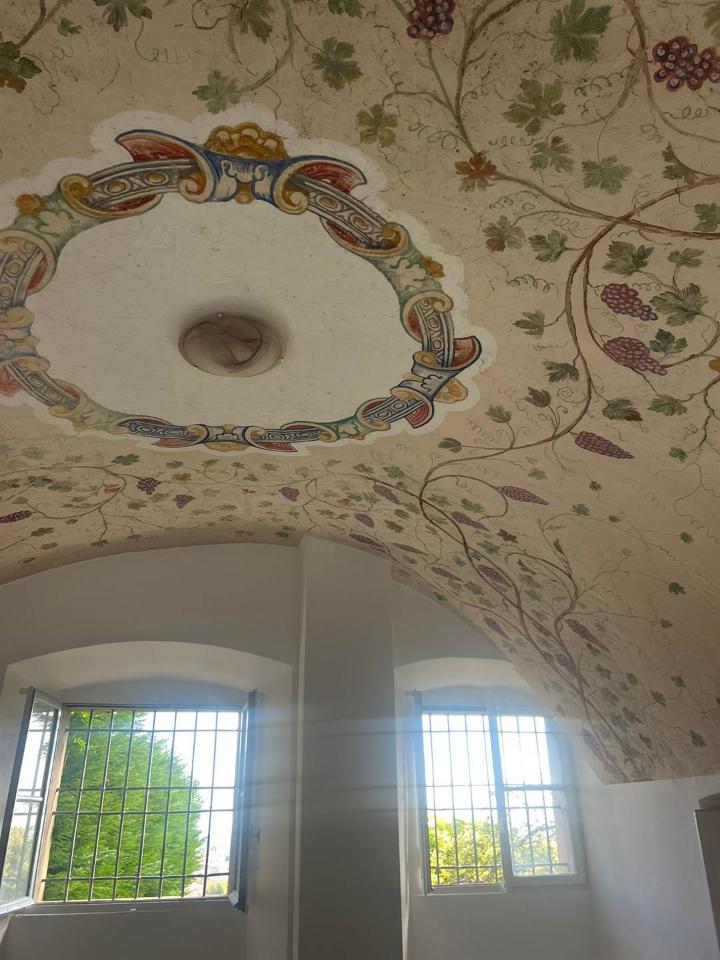 immagine annuncio 6 di 14