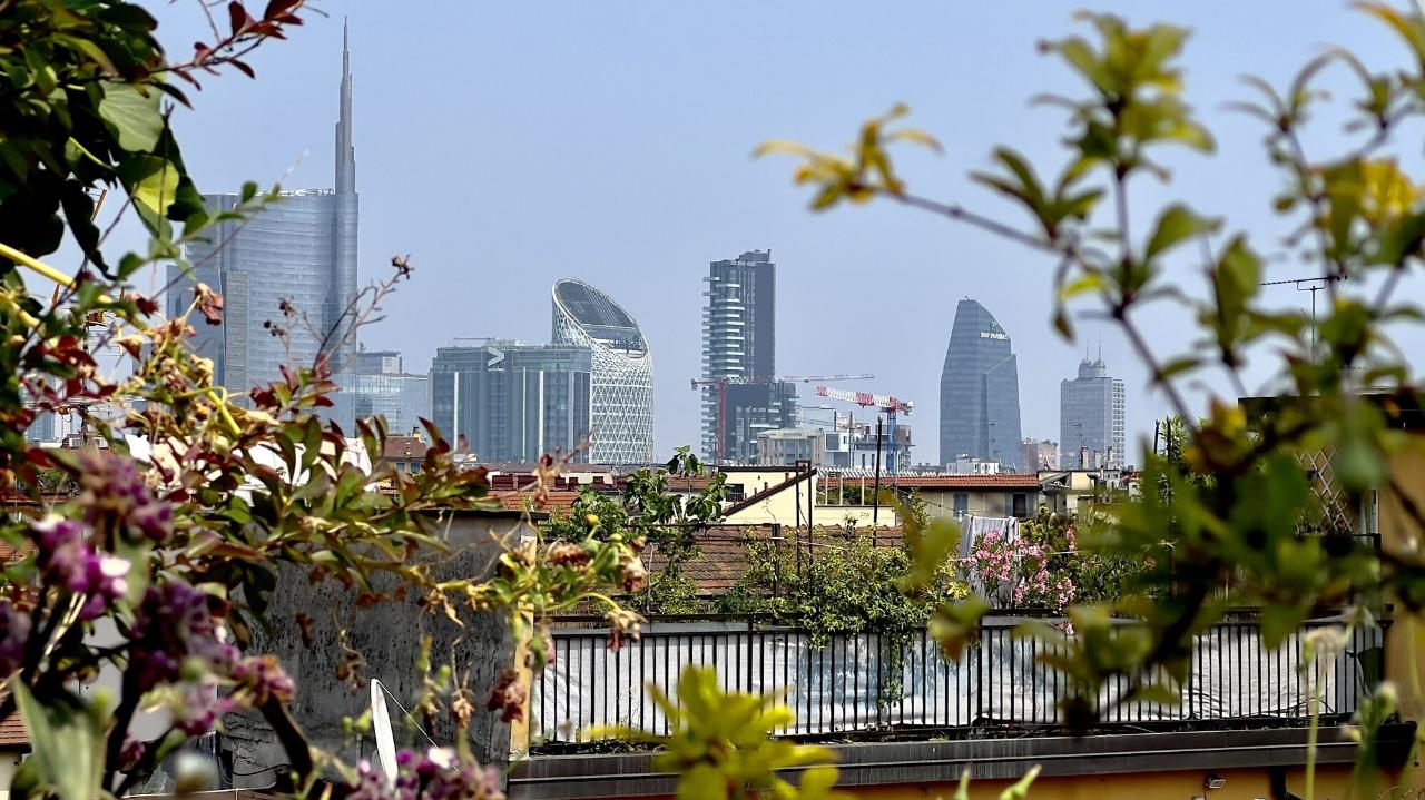 immagine annuncio 9 di 15