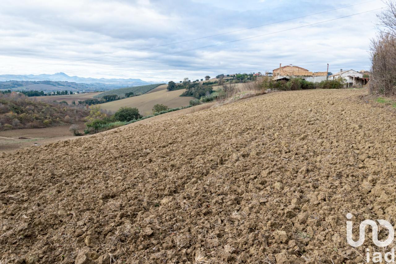 Terreno agricolo in vendita a Osimo