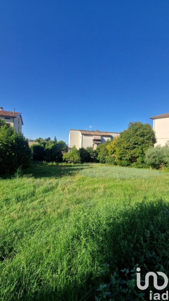 immagine annuncio 4 di 7