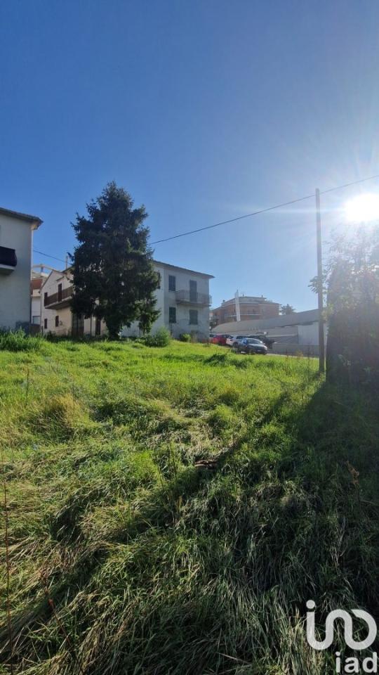 immagine annuncio 5 di 7