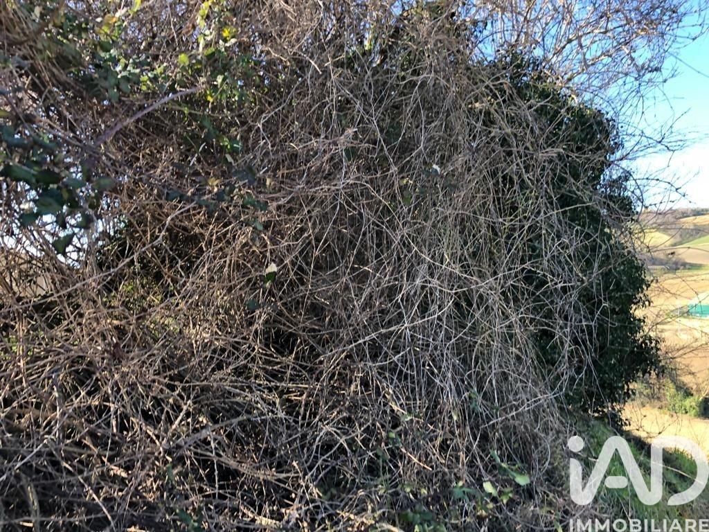 immagine annuncio 8 di 9