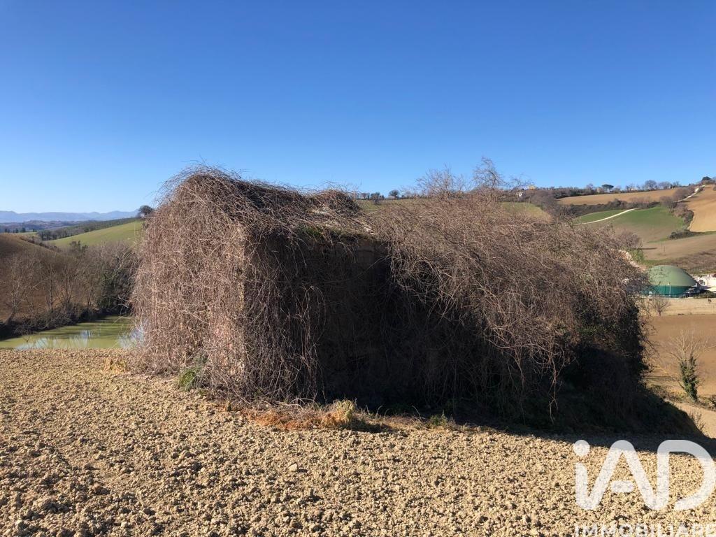 immagine annuncio 1 di 9