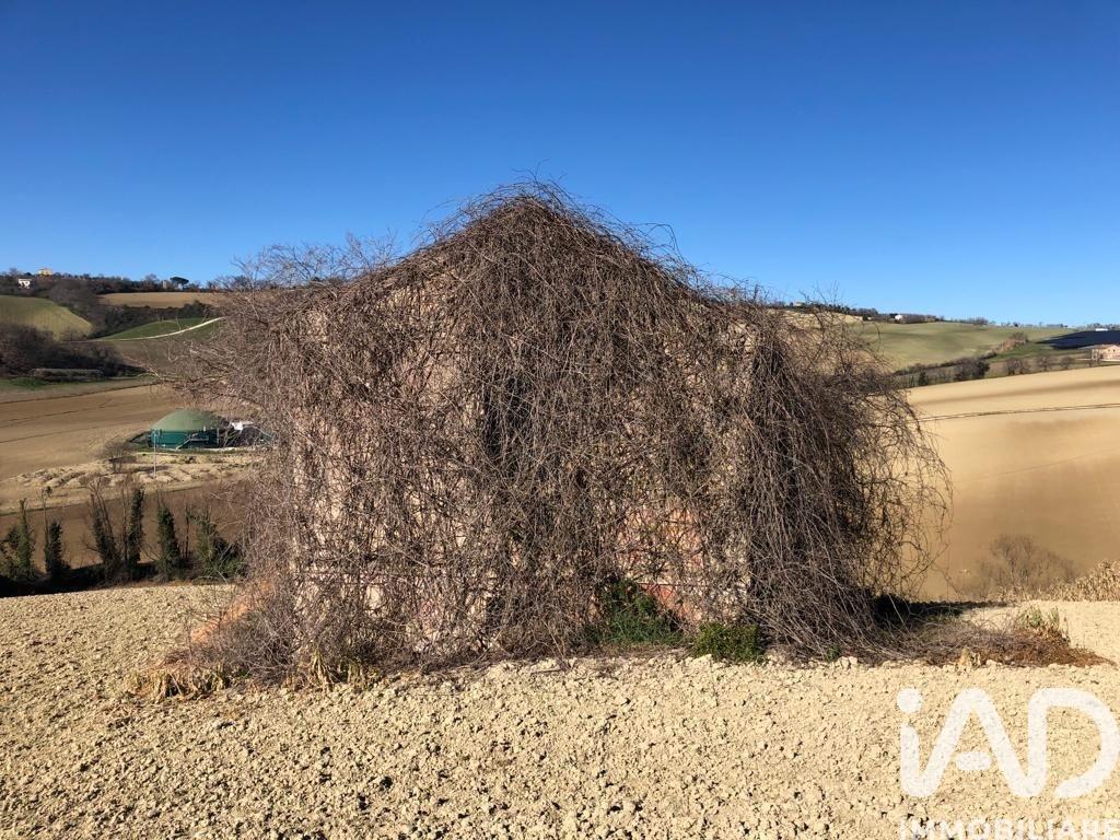 immagine annuncio 2 di 9