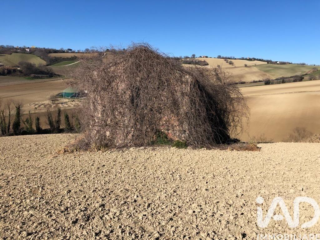 immagine annuncio 4 di 9