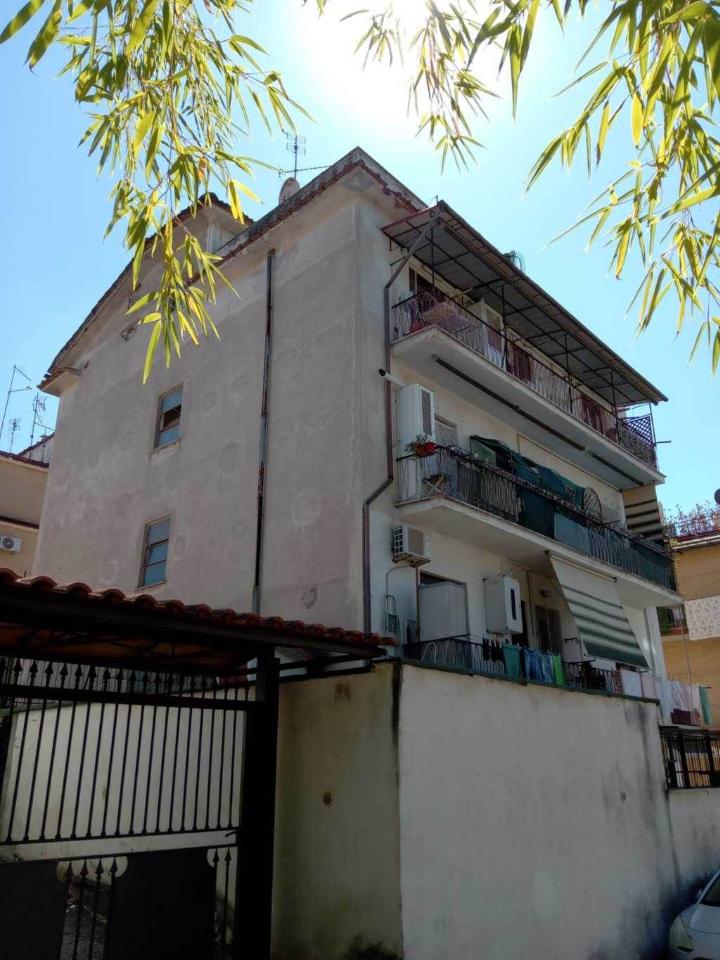 immagine annuncio 3 di 14