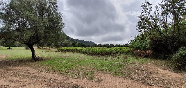 Agrargrundstück in Camisa, Muravera - Foto 1