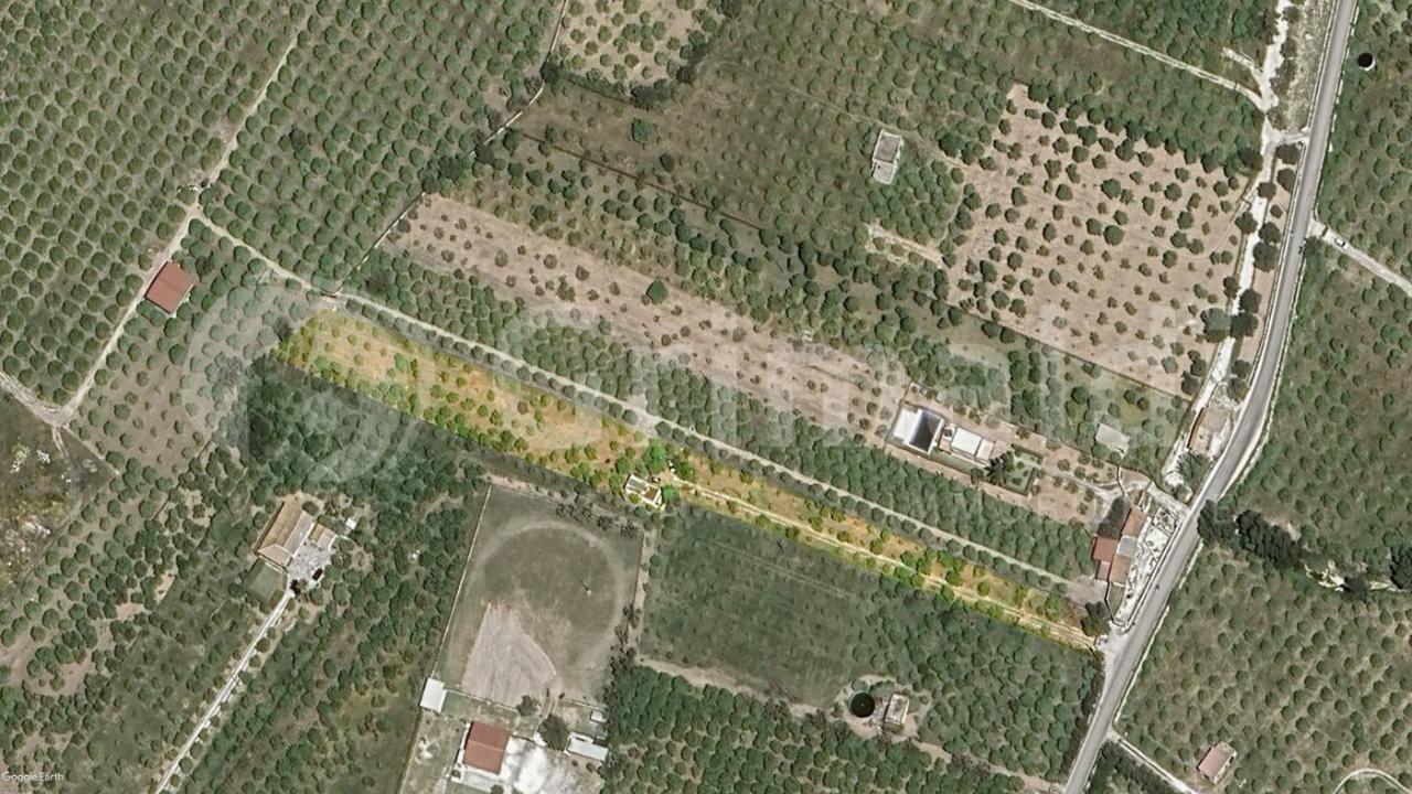 immagine annuncio 11 di 12