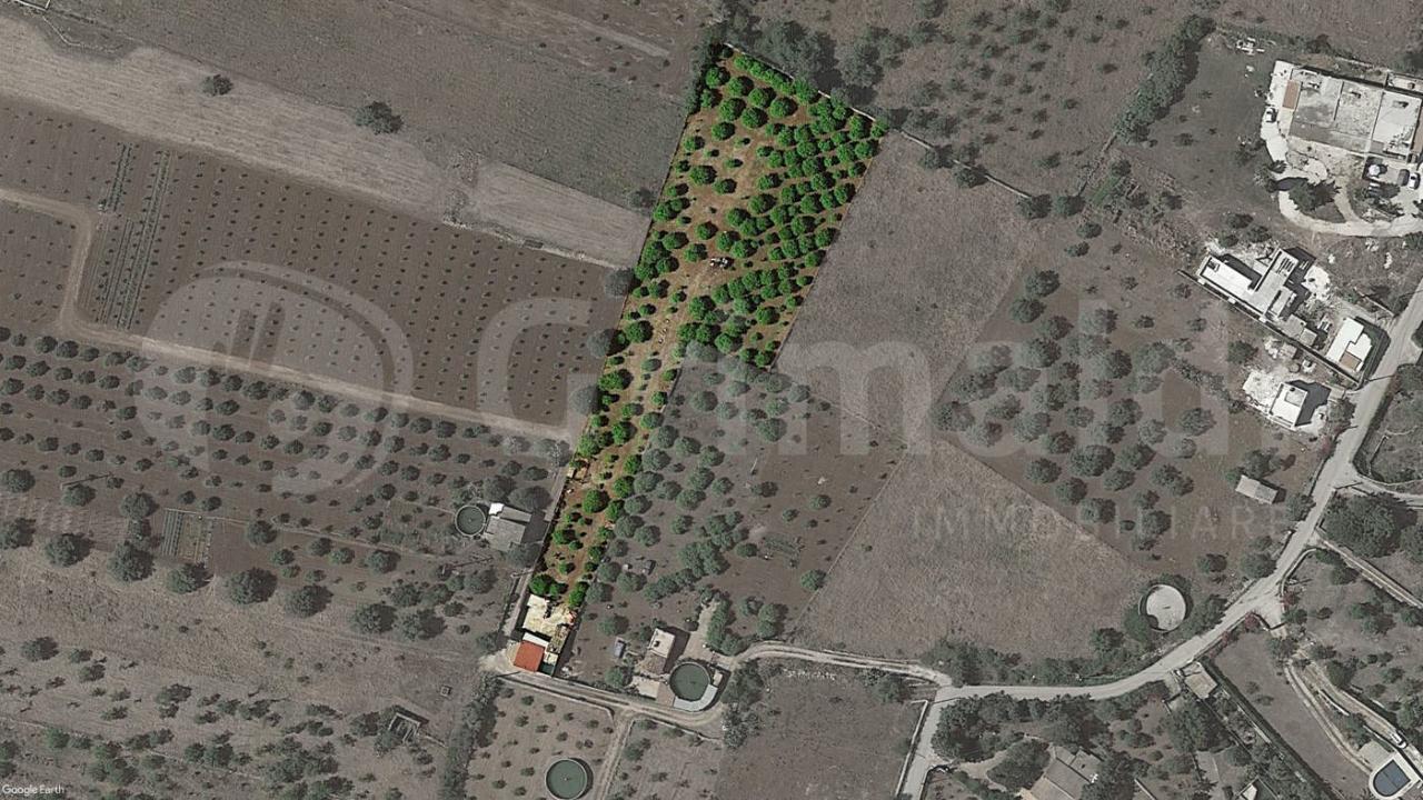 immagine annuncio 6 di 7