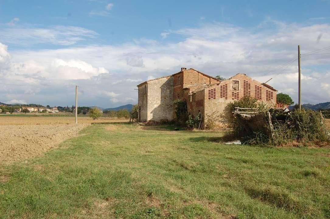 immagine annuncio 12 di 14