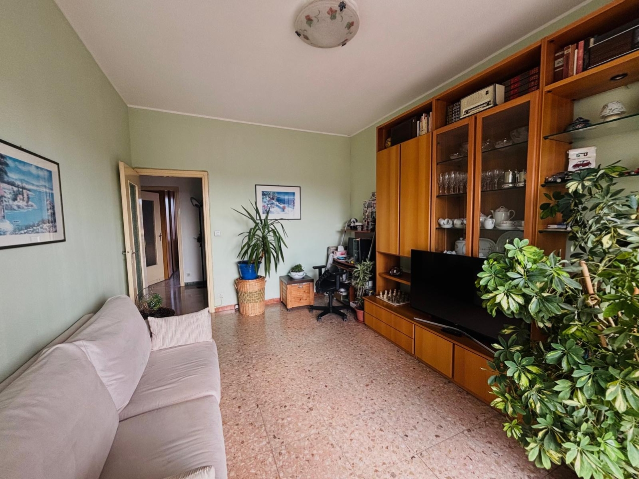 immagine annuncio 1 di 15