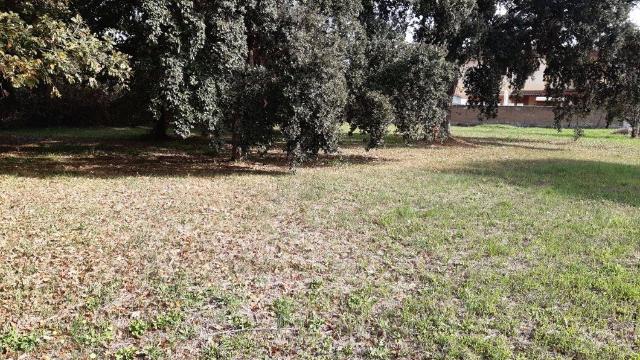 Agricultural land in Quartiere Miglioramento, Anzio - Photo 1