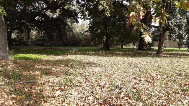 Terreno agricolo, Anzio - Foto 1