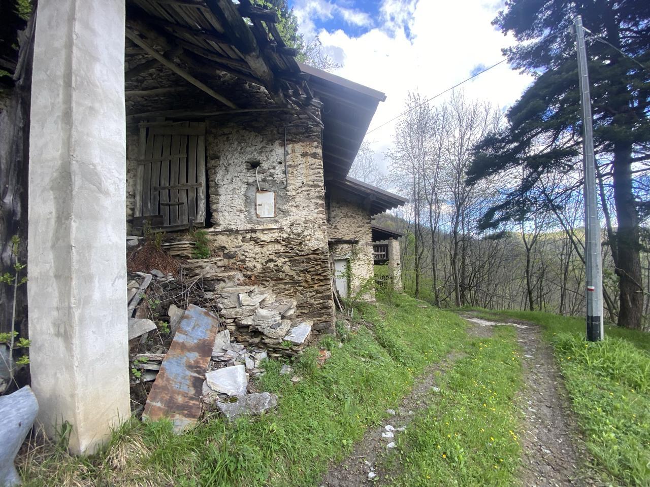 immagine annuncio 5 di 11