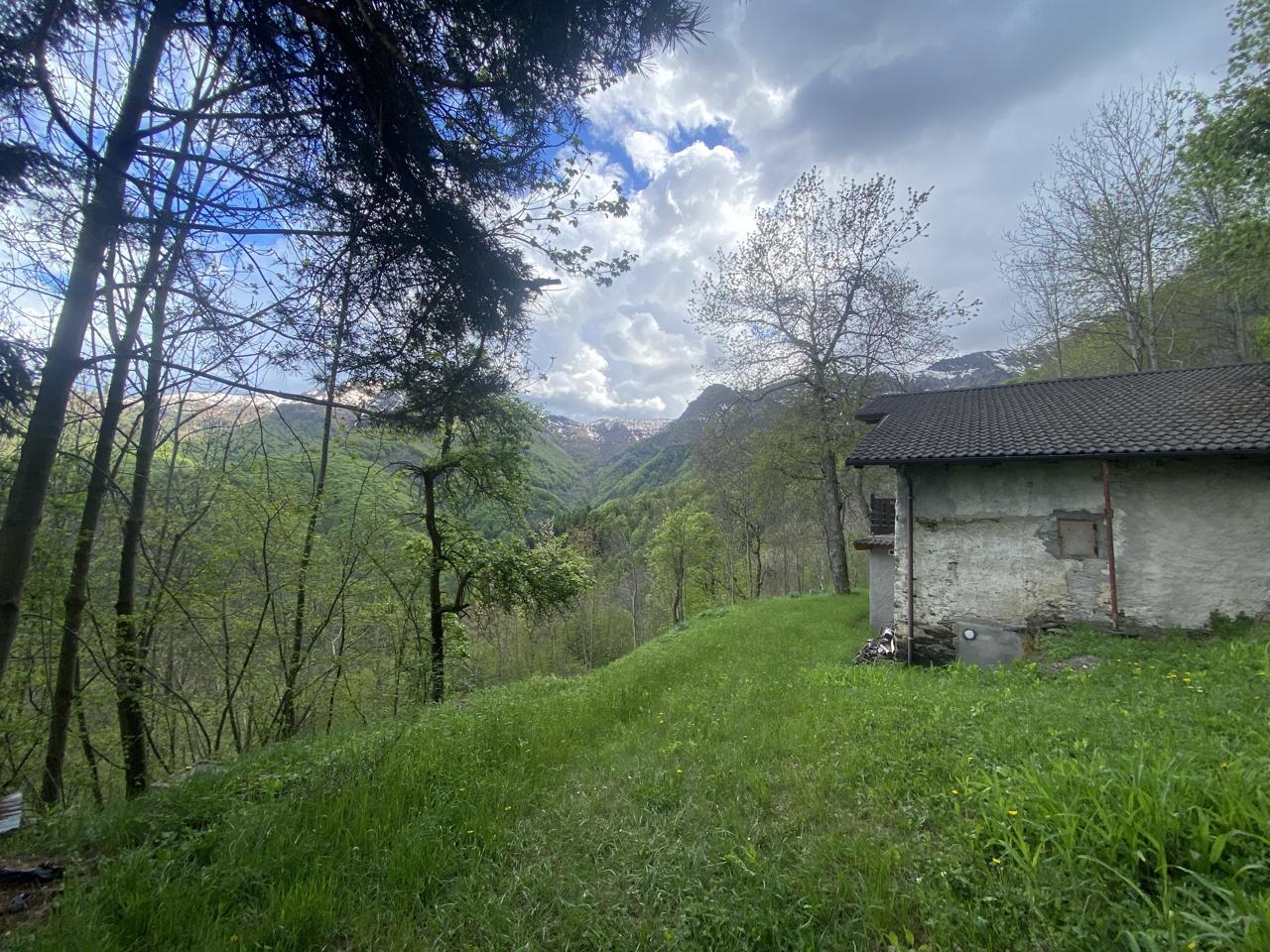 immagine annuncio 9 di 11