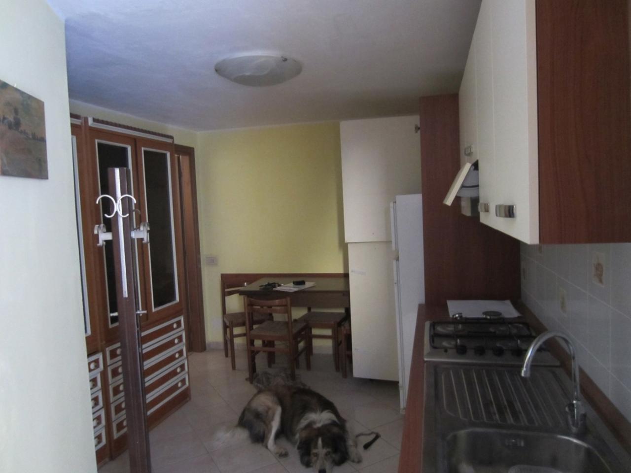 immagine annuncio 9 di 14