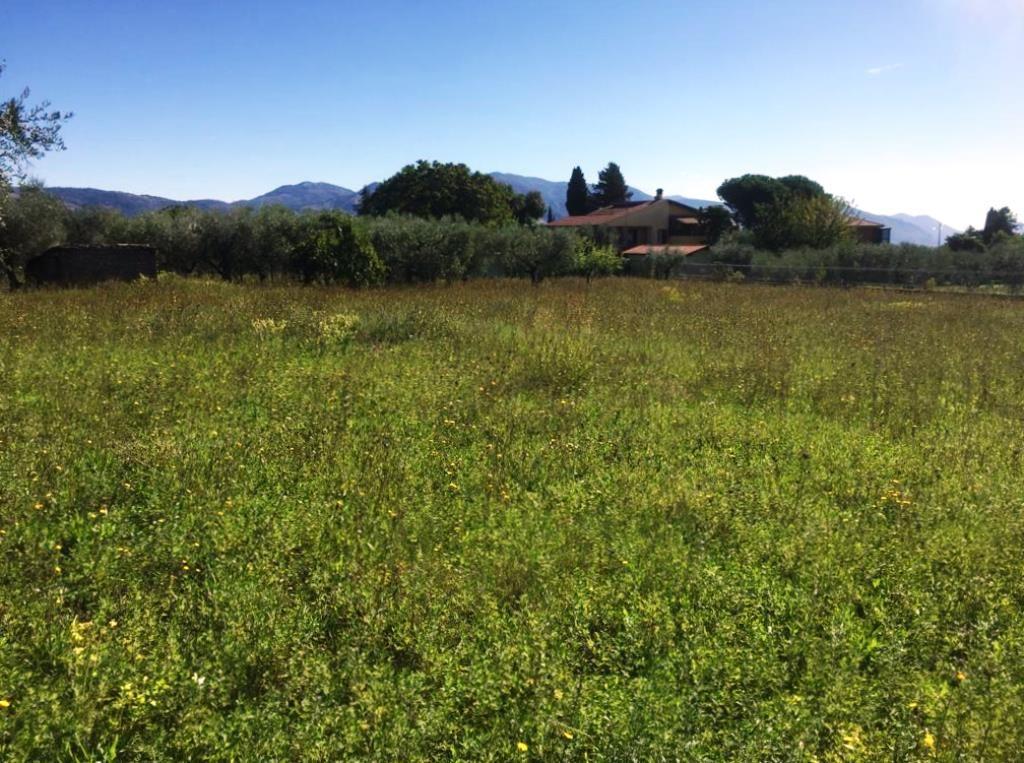 Terreno agricolo in vendita a Velletri